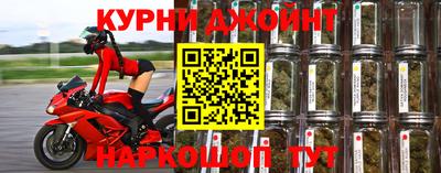 МДПВ Камышлов
