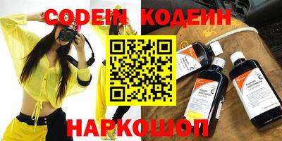МДПВ Камышлов