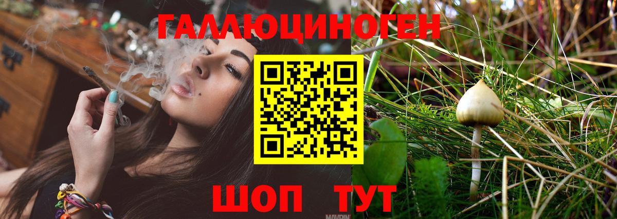 Псилоцибиновые грибы мухоморы Хабаровск